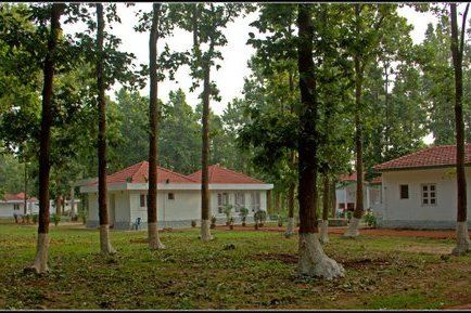 Jhargram Forest Lodge
